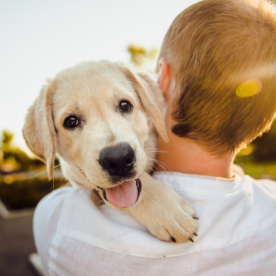 Animal Care