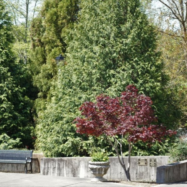 Heritage Park